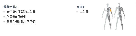 廣州羞羞视频APP下载大全健身器材