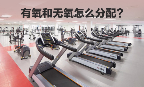 健身房怎麽分配有氧器械和無氧器械