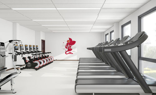 企業健身房建設器材配置趨勢解析