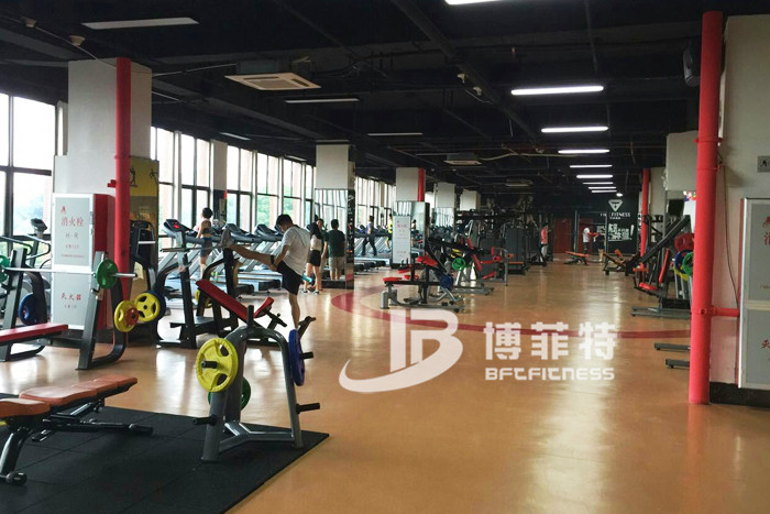 羞羞视频APP下载大全健身器材
