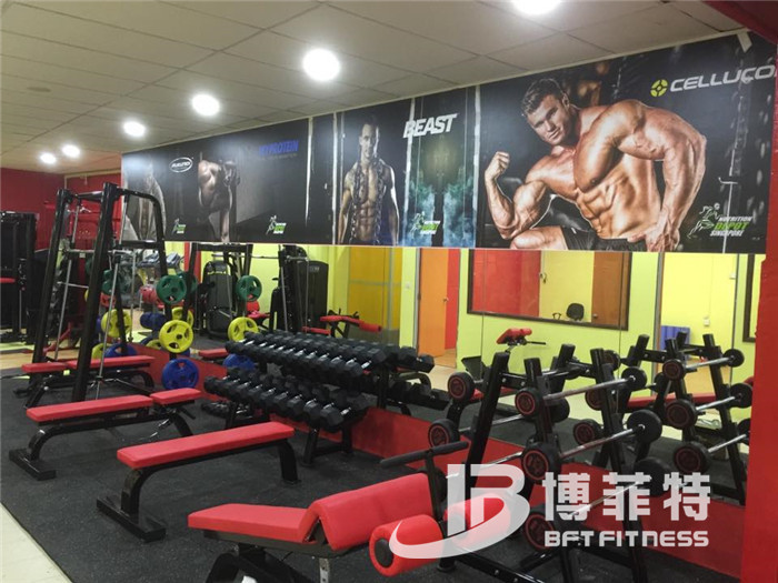 羞羞视频APP下载大全客戶健身器械