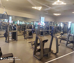 羞羞视频APP下载大全健身器材東莞客戶健身房案例