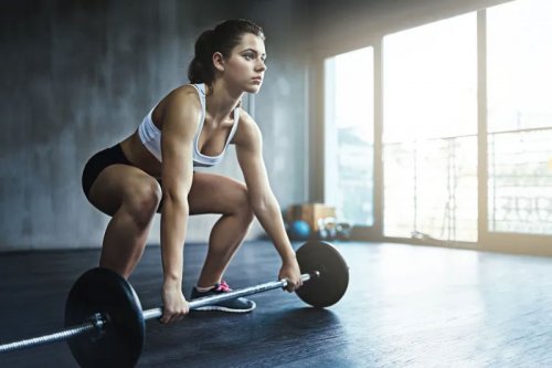 健身房練背的器械有哪些