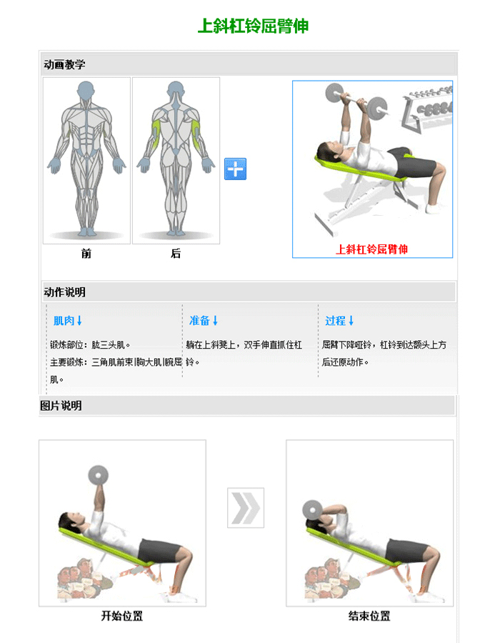 可調啞鈴訓練椅 推舉啞鈴訓練器 羞羞视频APP下载大全室內健身器材